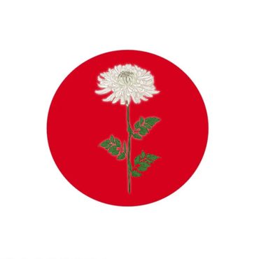 Crisantemo Il fiore nazionale giapponese
